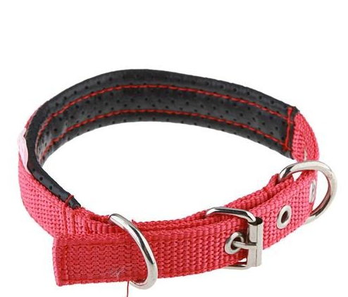 50cm Single Fastening and Adjustable Foam Dog Collar Belt Red